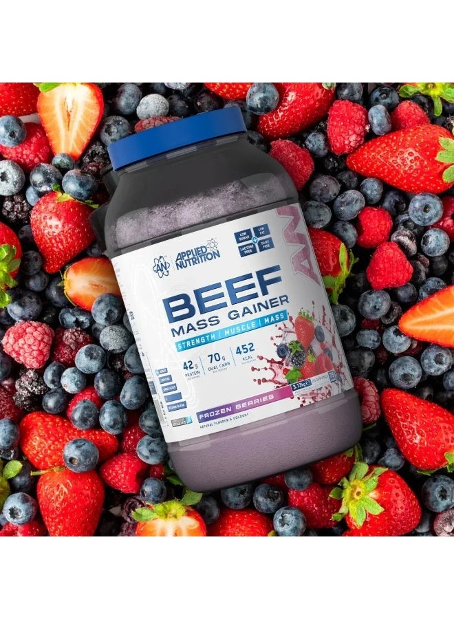 أبلايد نيوتريشن بيف ماس جينر 3.13 كجم – نكهة تروبيكال فايبس - Image 5