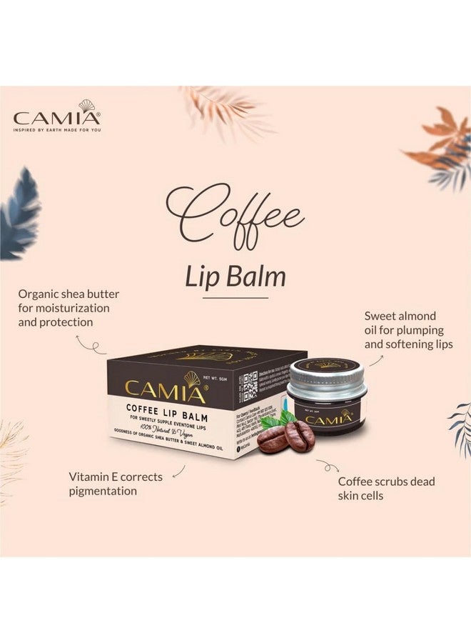 CAMIA كاميا - بلسم شفاه طبيعي 100% لعلاج الشفاه الجافة والمتشققة | غني بزيت اللوز بلسم شفاه طبيعي للنساء والرجال | يرطب ويخفف من لون الشفاه الداكنة | 5 جرام - Image 4