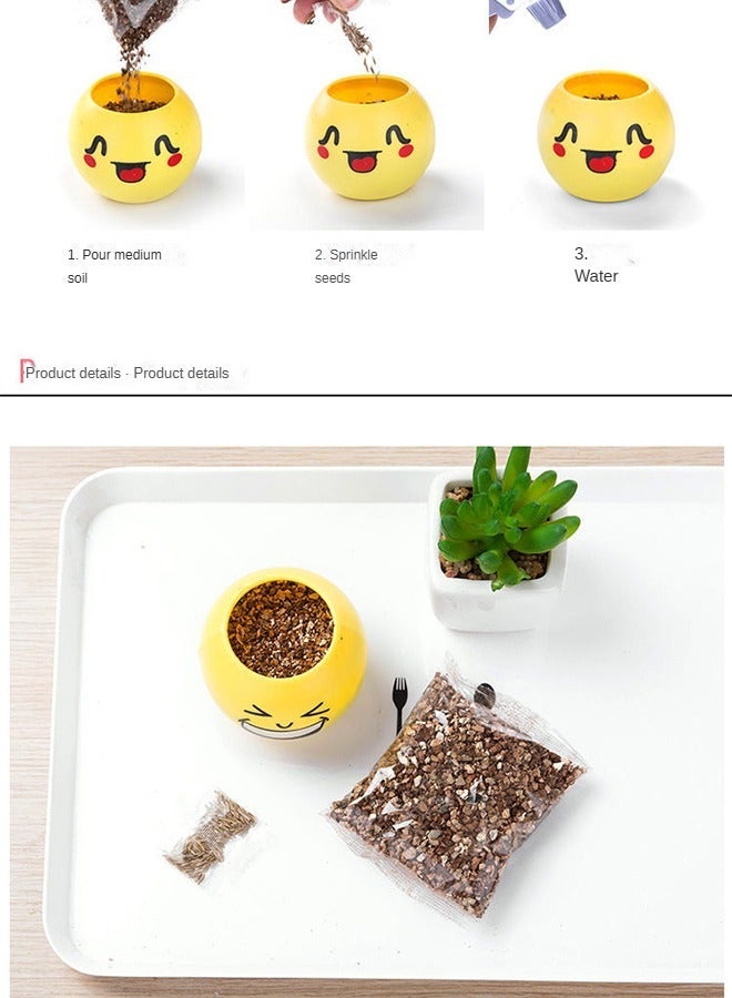 هايدو 6 قطع من النباتات المحفوظة بوعاء الإبداعية عن العشب ، العشب السحري رؤساء ، ديي النباتات المحفوظة بوعاء مع النباتات المحفوظة بوعاء تقليم الشعر ، التربة المغذية والبذور ( نمط عشوائي ) - Image 4