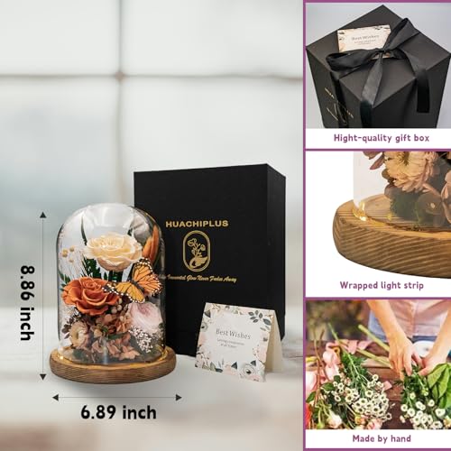 HUACHIPLUS Eternal Flowers with Butterfly: Big Is Love Series-Elegant Preserved Flowers in Glass Dome-Valentines, Anniversary, Mom Gifts for Her-Flowers for Delivery Prime-Flower Arrangements (Orange) - Image 4