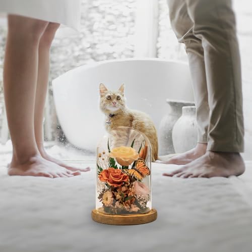 HUACHIPLUS Eternal Flowers with Butterfly: Big Is Love Series-Elegant Preserved Flowers in Glass Dome-Valentines, Anniversary, Mom Gifts for Her-Flowers for Delivery Prime-Flower Arrangements (Orange) - Image 2
