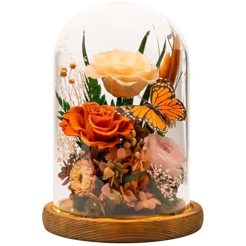 HUACHIPLUS Eternal Flowers with Butterfly: Big Is Love Series-Elegant Preserved Flowers in Glass Dome-Valentines, Anniversary, Mom Gifts for Her-Flowers for Delivery Prime-Flower Arrangements (Orange) - Image 1