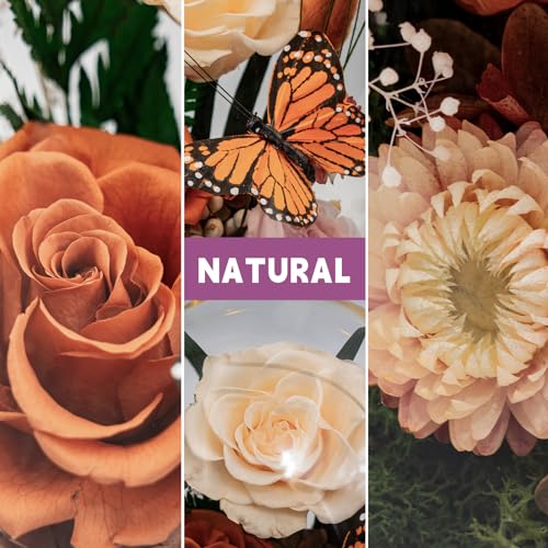 HUACHIPLUS Eternal Flowers with Butterfly: Big Is Love Series-Elegant Preserved Flowers in Glass Dome-Valentines, Anniversary, Mom Gifts for Her-Flowers for Delivery Prime-Flower Arrangements (Orange) - Image 3