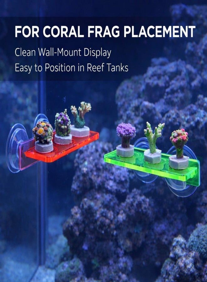 kcrygogo Acrylic Coral Frag Rack with Double Suction Cups, 3 Hole Coral Plug Holder for Reef Tank Aquarium, Fluorescent Green & Fluorescent Red, 2PCS - Image 3