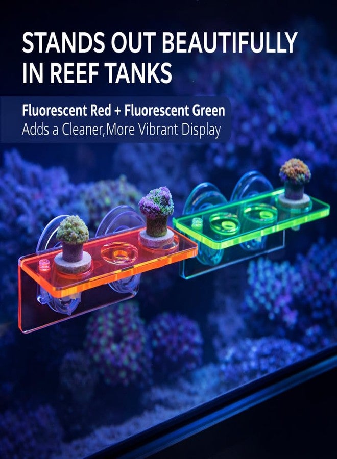 kcrygogo Acrylic Coral Frag Rack with Double Suction Cups, 3 Hole Coral Plug Holder for Reef Tank Aquarium, Fluorescent Green & Fluorescent Red, 2PCS - Image 5