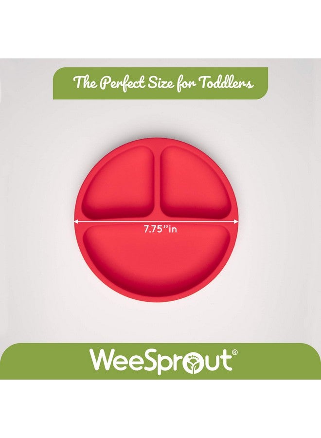 وي سبراوت أطباق شفط WeeSprout مع أغطية للأطفال الصغار والرضع - 100% سيليكون، أدوات مائدة تبقى ثابتة، تصميم مقسم للأطفال الذين يتناولون الطعام بشكل انتقائي، آمنة للاستخدام في الميكروويف وغسالة الأطباق، عبوة من 3 قطع - Image 3