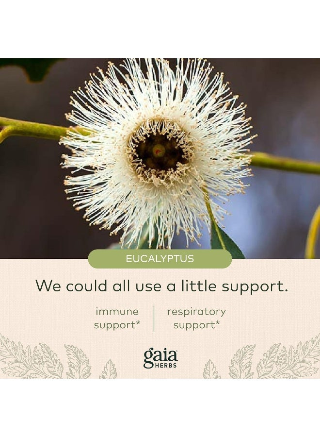 Gaia Herbs شراب العافية القصبي دعم المناعة للمساعدة في الحفاظ على صحة الرئة 5.4 أونصة سائلة حتى 32 يومًا من الإمداد - Image 5
