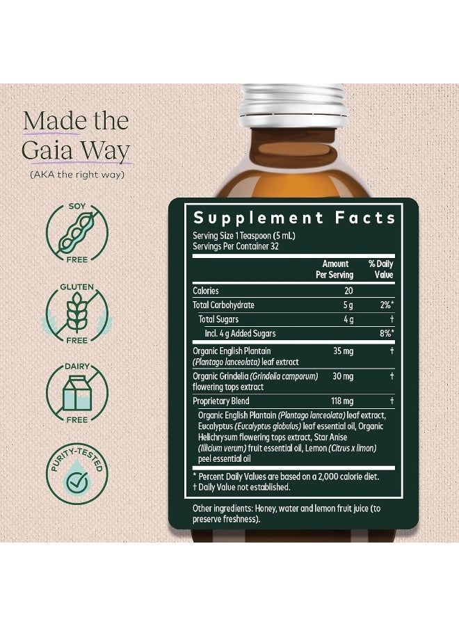Gaia Herbs شراب العافية القصبي دعم المناعة للمساعدة في الحفاظ على صحة الرئة 5.4 أونصة سائلة حتى 32 يومًا من الإمداد - Image 4