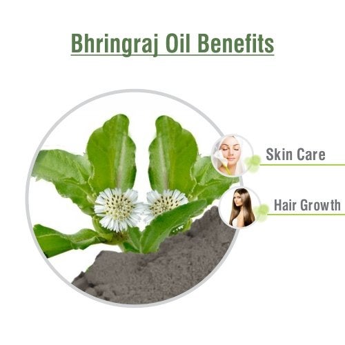 Salvia Bhringraj Oil (Eclipta alba) 100% Pure & Natural - Undiluted Uncut Cold Pressed Premium Oil Use for Aromatherapy, Skin Care & Hair - Therapeutic Grade - 30 ML by Salvia - Image 3