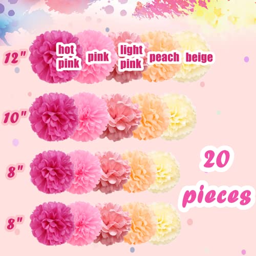 Jayke Joy 20 Pcs Paper Pom Poms Kit, Tissue Paper Flowers for Birthday, Wedding, Bachelorette, Baby Shower, Girl Nursery Decoration (Pink Mix) - Image 3