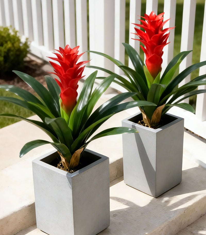 Ivydale Fake Flowers Plants for Outdoors 2 Pcs 1693 Bromeliad Artificial Flowers Uv Resistant Realistic Faux Flowers for Outdoor Planters Outside Porch Patio Yard Garden Indoor DecorationRed - Image 2