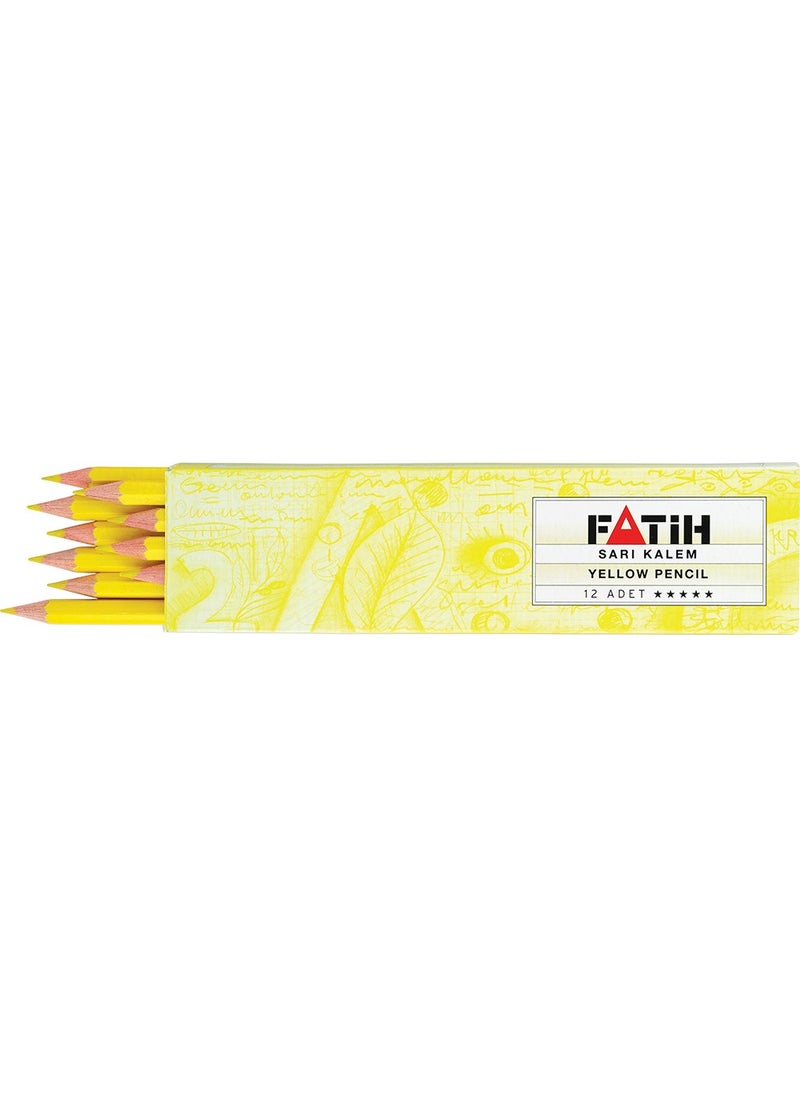 Yellow Textile Pen 12 Pcs - pzsku/ZFF56CD20980F3E6BDC00Z/45/_/1725725037/4c38770b-021c-4c8e-8ffe-66ed255addb8