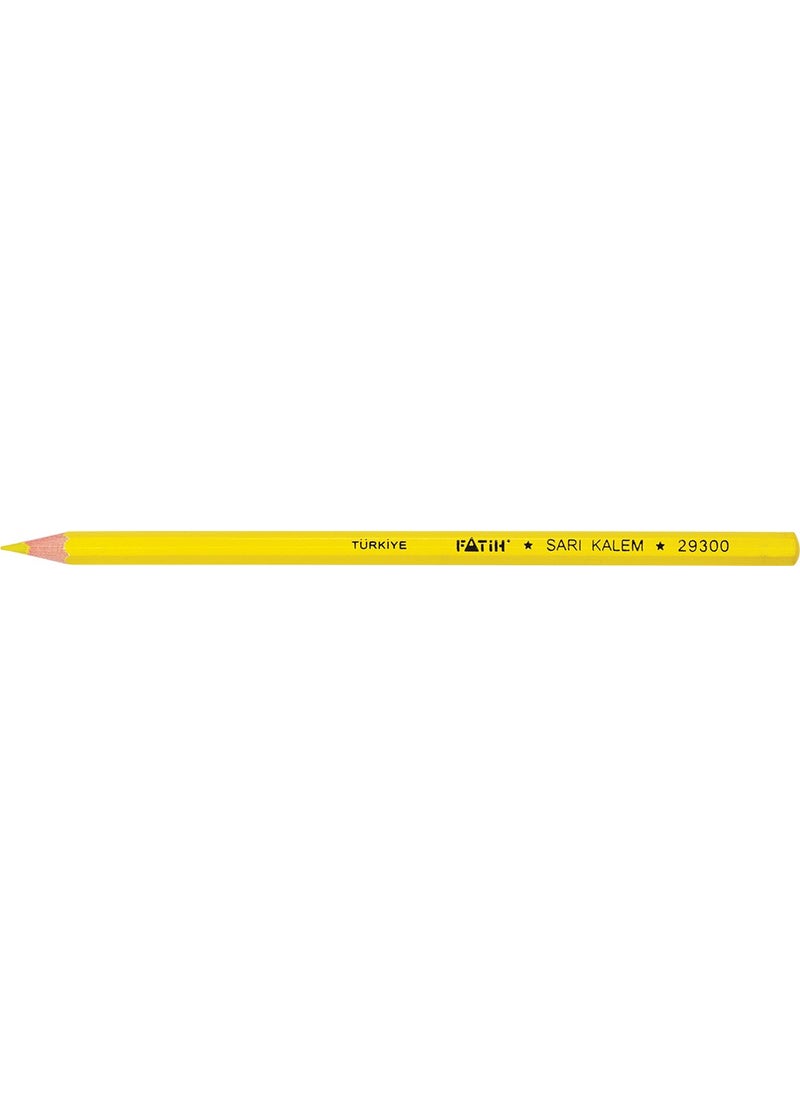 Yellow Textile Pen 12 Pcs - pzsku/ZFF56CD20980F3E6BDC00Z/45/_/1725725039/4a0b103c-0a28-4c17-919b-33bad7cf93d7