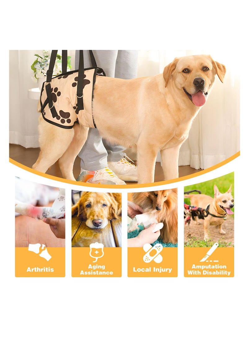 Adjustable Dog Lift Harness for Rear Leg Support, Rehab Sling for Weak, Elderly, or Arthritic Dogs - Durable Nylon-Wrapped Sponge for Comfort and Stability.  - Image 3