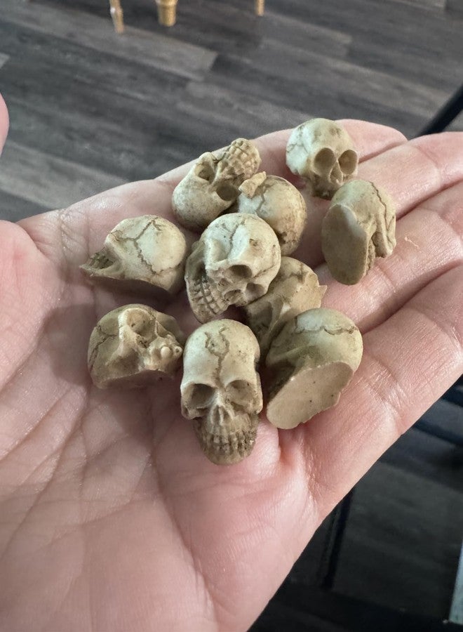 مجموعة YZHZOM المكونة من 20 جمجمة صغيرة من الراتنج، مجسمات صغيرة للهالوين، ديكورات رأس جمجمة، زينة هياكل عظمية للهالوين، جماجم صغيرة مصغرة - Image 3