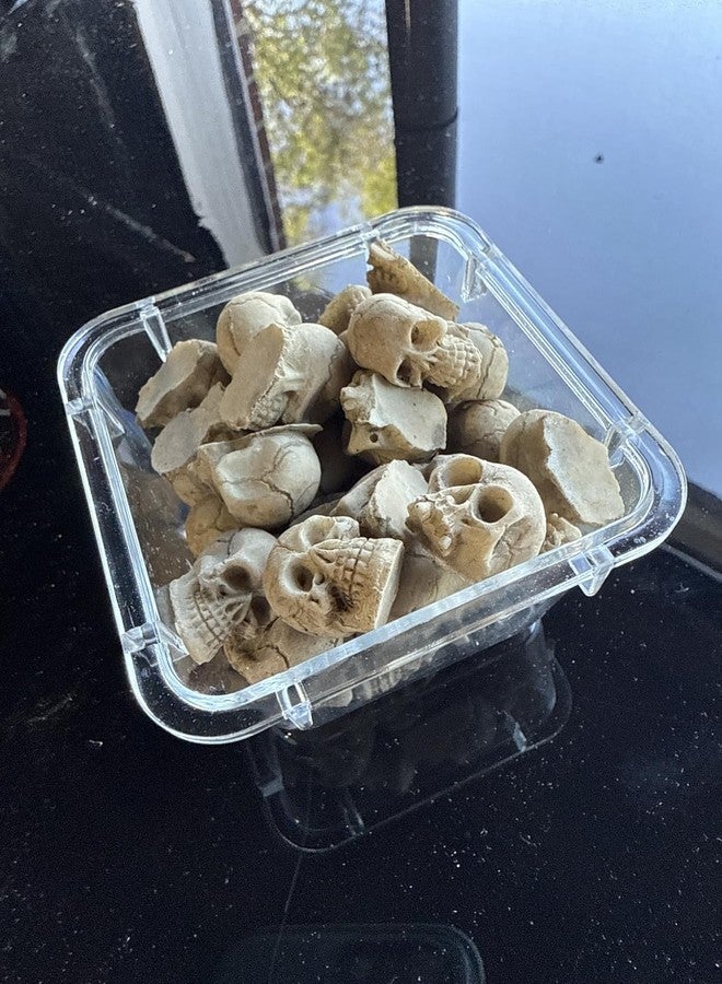 مجموعة YZHZOM المكونة من 20 جمجمة صغيرة من الراتنج، مجسمات صغيرة للهالوين، ديكورات رأس جمجمة، زينة هياكل عظمية للهالوين، جماجم صغيرة مصغرة - Image 4