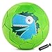 ZOOJOY Soft Balls for Toddlers 13 Silent Indoor Soccer Ball Size 3 Plush Inflatable House Ball for Kids 35 Kickball Toys First Birthday Gifts for Baby Boys Girls Green Dinosaur Pump Include - Image 2