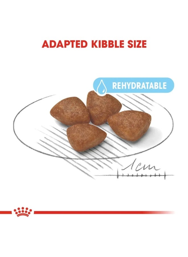 Royal Canin Size Health Mini Starter Dry Dog Food - 1kg - Image 3