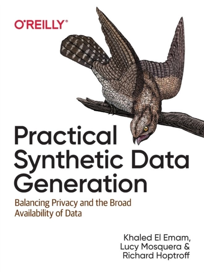 Practical Synthetic Data Generation Balancing Privacy and the Broad Availability of Data - Paperback