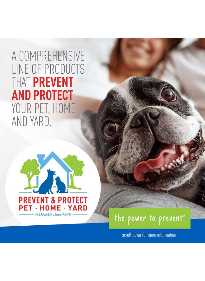 ADAMS Adams Plus Flea & Tick Carpet Spray, Kills Fleas, Flea Eggs, Flea Larvae, Ticks, Ants, Roaches, Spiders, Waterbugs & Many Other Listed Nuisance Pests In The Carpet, Treats Up to 2,000 Sq Ft, 16 Ounces  - Image 5