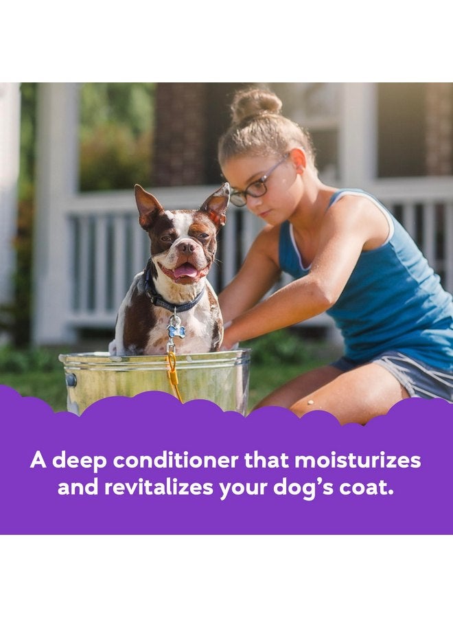 BUDDY BISCUITS Buddy Rinse Conditioner for Dog Grooming Dog, Lavender & Mint, 16 oz. Bottle - Image 3