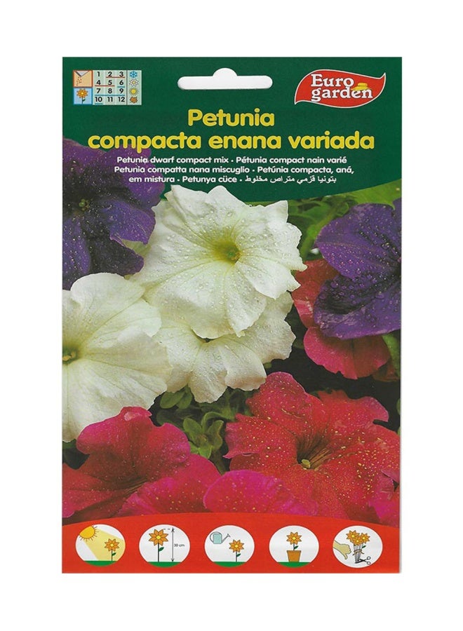 Euro Garden Euro Garden Petunia Dwarf Compact Mixed  - Image 1