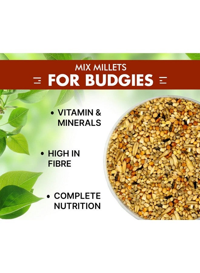 Boltze طعام الطيور للبادجي - 1.2 كجم | مزيج بذور طبيعي وصحي ممتاز | بذور طعام يومية للبادجي | جميع مراحل الحياة - Image 5