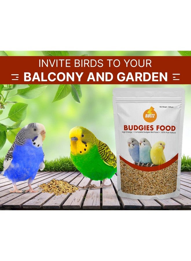 Boltze طعام الطيور للبادجي - 1.2 كجم | مزيج بذور طبيعي وصحي ممتاز | بذور طعام يومية للبادجي | جميع مراحل الحياة - Image 4