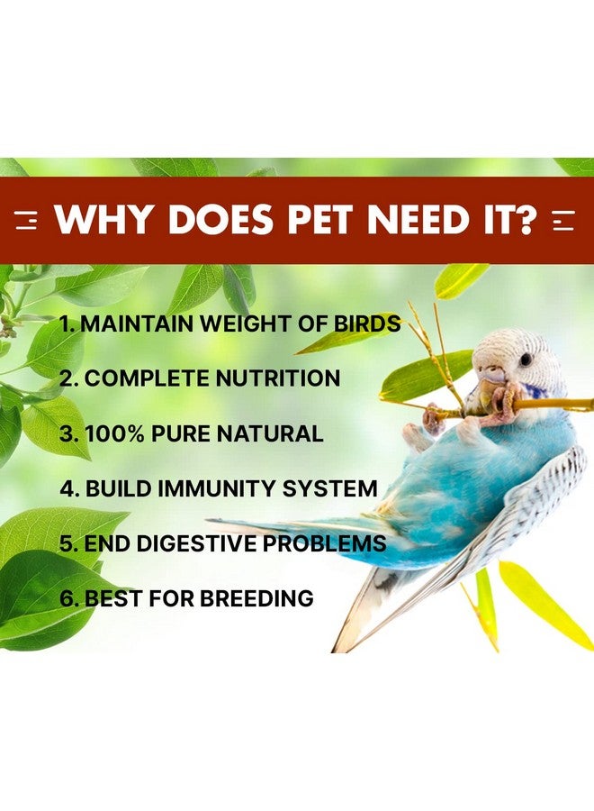 Boltze طعام الطيور للبادجي - 1.2 كجم | مزيج بذور طبيعي وصحي ممتاز | بذور طعام يومية للبادجي | جميع مراحل الحياة - Image 3