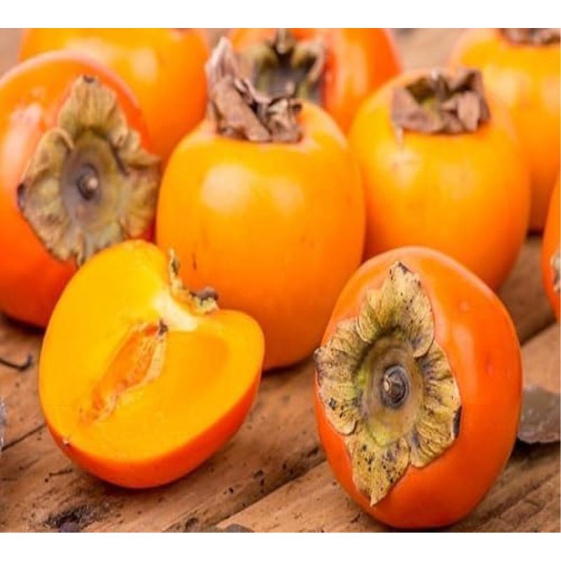 100 بذرة فاكهة الكاكي الطازجة - Image 1