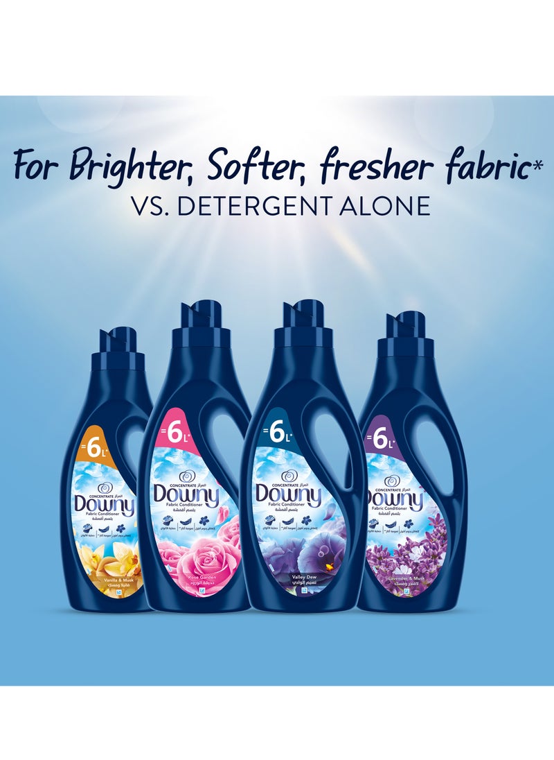 Vanilla And Musk Variant Fabric Conditioner For More Softness - pzsku/ZFF5F2238595F4934FF63Z/45/_/1710939150/90ae3903-2f8f-4a56-9103-2fb37928a438