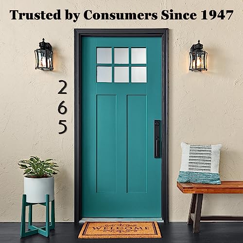 KRYLON بخاخ ورنيش كرايلون K01377000 من سلسلة المعرض، حماية UV، ساتان، 11 أونصة - Image 4