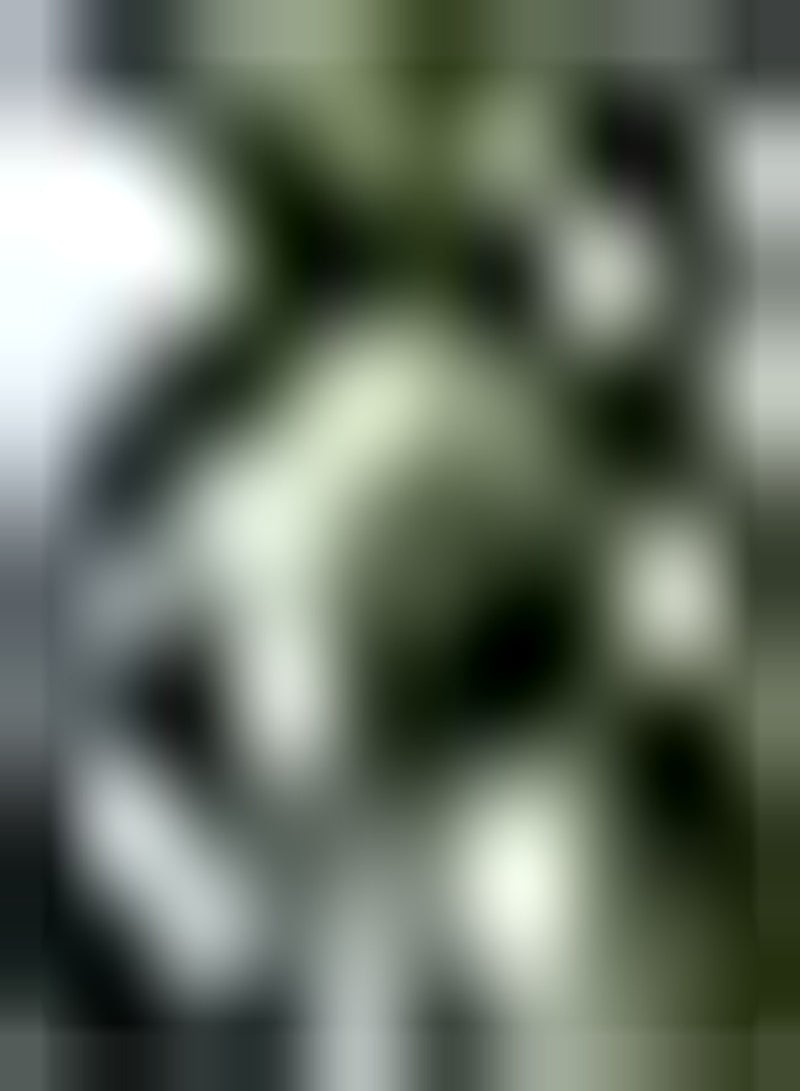 GGOOT 50pcs Persimmon Seeds The Produced Fruits Autumn Harvest Persimmon Wood Planted in Outdoor Garden Receive Nutritious Healthy Fruits - Image 1