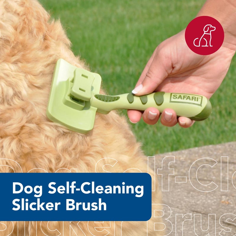 Coastal Pet Safari Dog Self-Cleaning Slicker Brush - Dog Deshedding Brush - Prevents Mats and Tangled Hair - For Dogs with Short or Long Hair - Small - 7" x 3.6" - Image 2