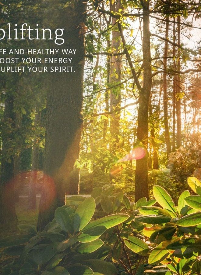 now Essential Oils, Organic Orange Oil, Uplifting Aromatherapy Scent, Cold Pressed, 100% Pure, Vegan, Child Resistant Cap, 4-Ounce - Image 5