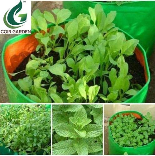 COIR GARDEN Green Grow Bags for Terrace Gardening for Spinach, Green Leaves 18" X 6" inch Pack of 10 - Image 5