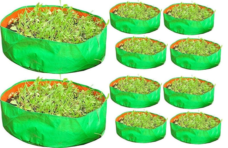 COIR GARDEN Green Grow Bags for Terrace Gardening for Spinach, Green Leaves 18" X 6" inch Pack of 10 - Image 1