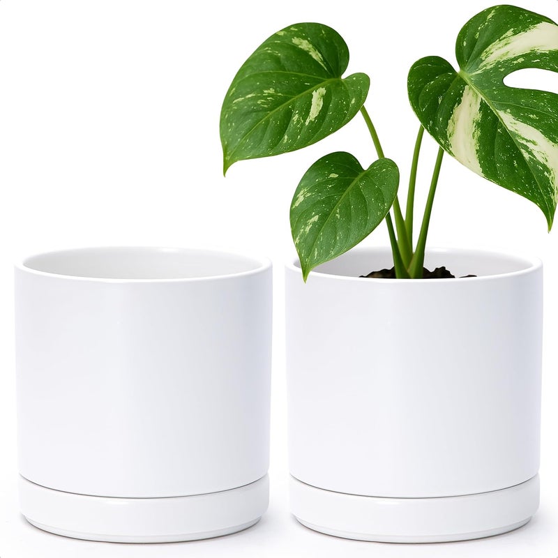 D'vine Dev Set of 2 Plants Pots, 6.5 Inch Ceramic Planter Pot for Plants with Drainage Hole and Saucer, White, 94-V-C-1 - Image 1