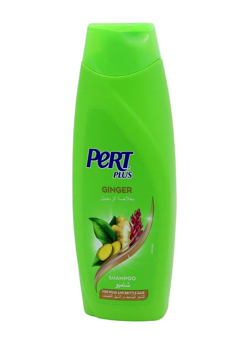 PERT PLUS Anti Hair Loss Shampoo with Ginger Extract 200ML - Image 1