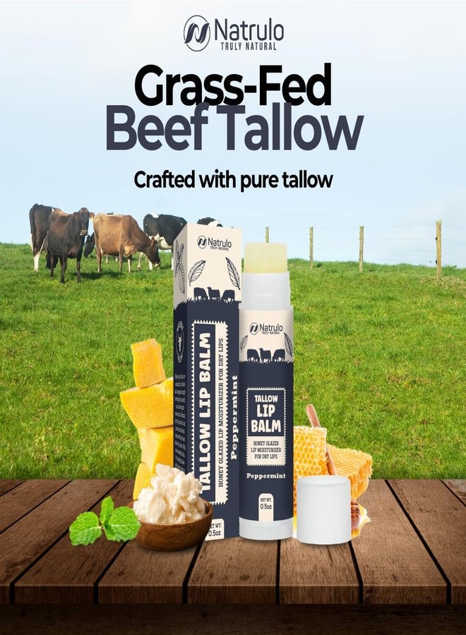 Natrulo Beef Tallow Lip Balm - Natural Tallow Beeswax Chapstick - Hydrating Moisturizer Grass Fed Bison Tallow Balm Lip Care - Soothes Chapped, Dry Lips, Sensitive Skin - Long Lasting & Vitamin Rich USA-Made - Image 4