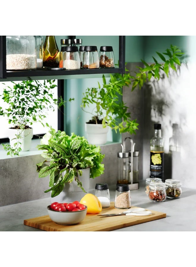 طقم عبوات توابل زجاجية 4 قطع، 150 مل لكل قطعة - Image 5