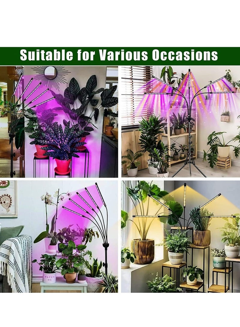 سيسلي مصابيح زراعة داخلية، 5 رؤوس إضاءة نباتية كاملة الطيف باللون الأحمر والأزرق والأبيض مع حامل ثلاثي القوائم قابل للتعديل من 15 إلى 60 بوصة، مصباح زراعة داخلي مع جهاز تحكم عن بعد ومؤقت تشغيل/إيقاف تلقائي. - Image 4