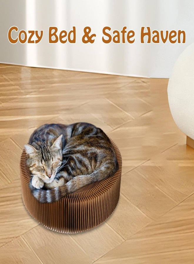 Dosanlues Cat Scratcher Lounge Bed - Collapsible Magic Organ Round Shape Cat Bed 20.5 inches, Scratching Pet Bed Hold Weight up to 25lb for Indoor Small Big Cats - Image 5