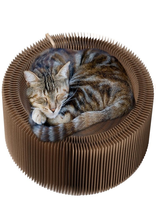 Dosanlues Cat Scratcher Lounge Bed - Collapsible Magic Organ Round Shape Cat Bed 20.5 inches, Scratching Pet Bed Hold Weight up to 25lb for Indoor Small Big Cats - Image 1