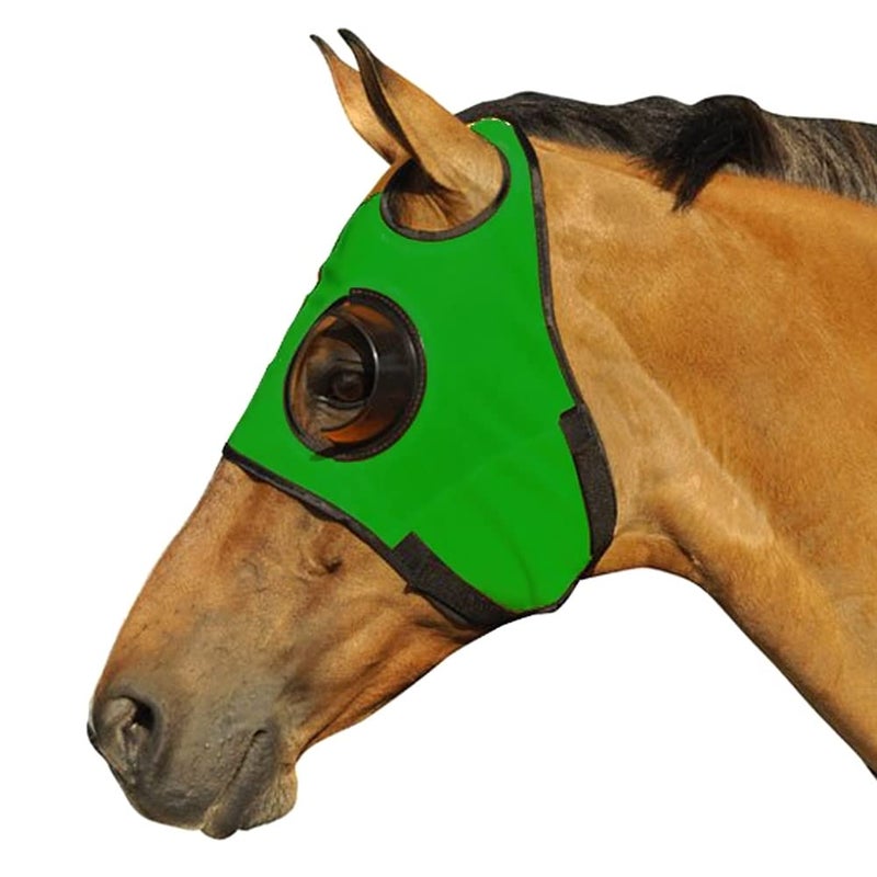 Intrepid International قناع حصان إنتربيد إنترناشيونال ربع كوب مع غطاء بليندر للتدريب على السباق مصنوع من مادة قابلة للتمدد مع إغلاق بشريط لاصق وعيون محدودة الرؤية باللون الأخضر