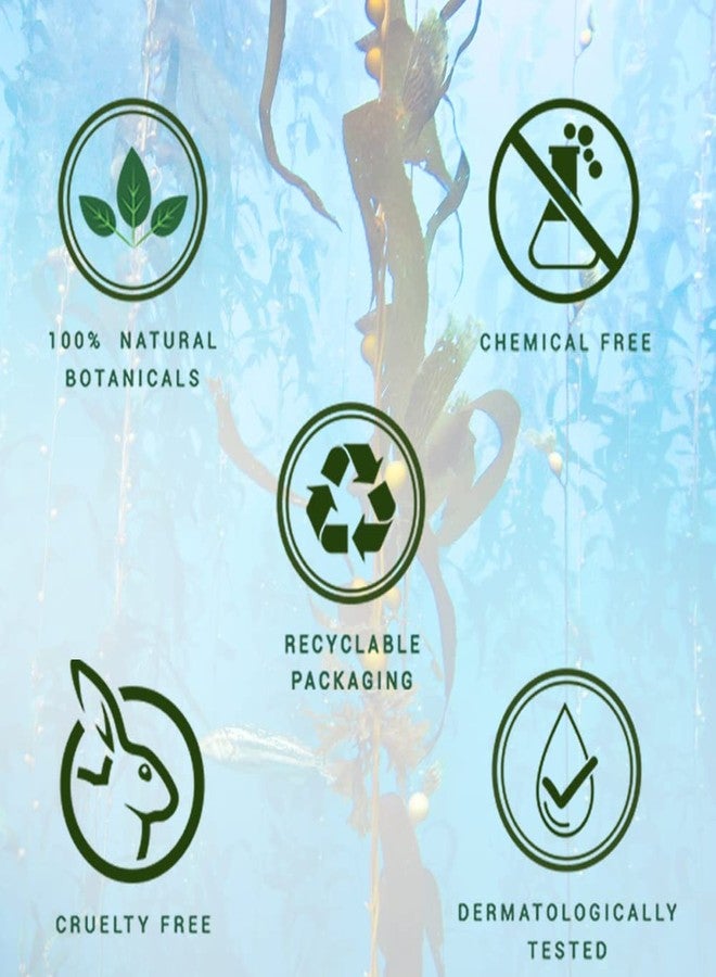 بيوتيك شامبو بيوتيك أوشن كيلب المضاد لتساقط الشعر | علاج مكثف لنمو الشعر | شامبو مضاد لتساقط الشعر يحافظ على لمعانه | مستخلصات نباتية 100% | مناسب لجميع أنواع الشعر | 500 مل - Image 5