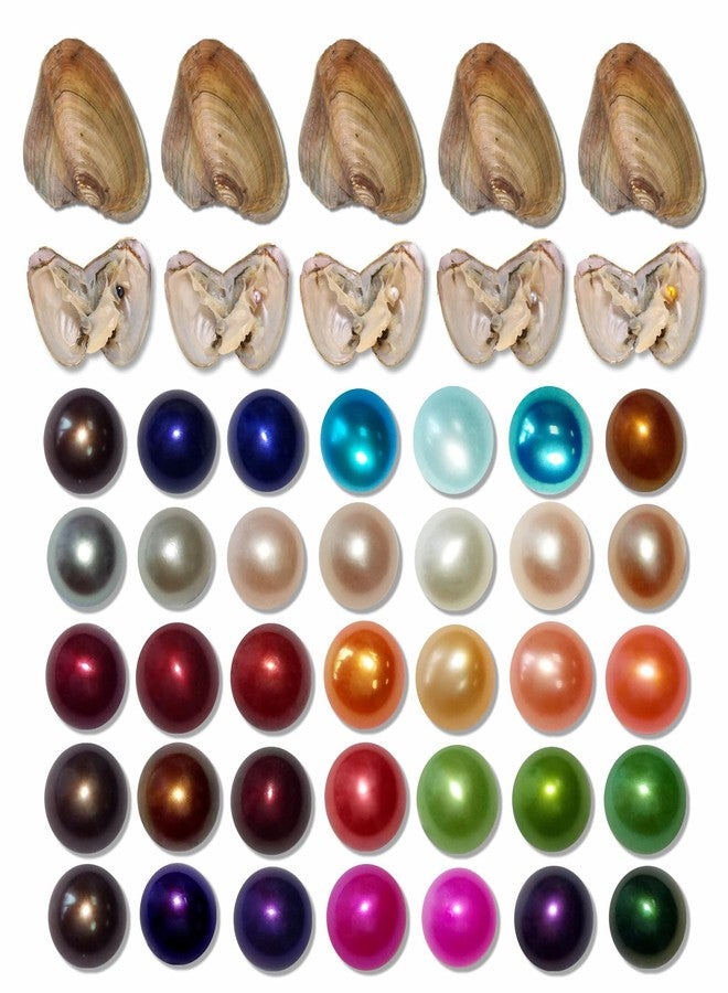 HENGSHENG 20PC Freshwater Pearl Love Wish Pearl Oyster with Round Pearl Inside Meaningful Color Cultured Oyster Pearls Beads for Jewelry Making Crafts Gifts(5.5-7.5mm, 20 PCS/Lot) - Image 1