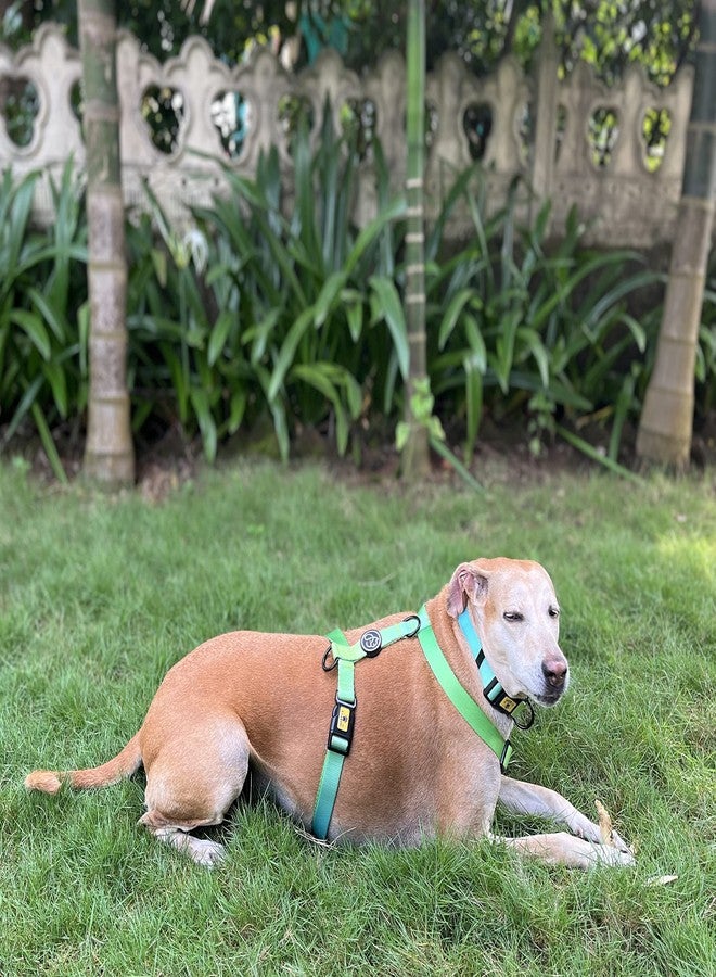 A+a Pets' H-Harness for Dogs, Puppies, Cats, Made with Soft and Waterproof Nylon Material (Large, Green/Blue) - Image 2