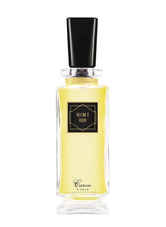 عطر سيكريت عود 30 مل - pzsku/ZFF6E5E3894ADC8377744Z/45/_/1684392673/0257cd77-b6a8-4347-83e6-fbf3abdfc25d