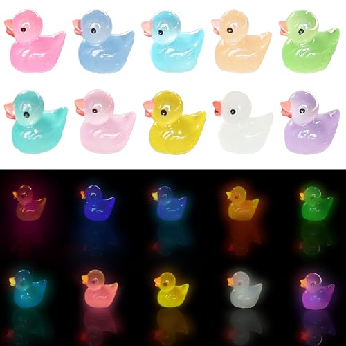 Tindobewan 50 PCS Tiny Ducks Glow in The Dark Mini Resin Ducks Miniature Duck Figures Ornament for Craft Dollhouse SlimeLandscape Home DecorationsLuminous Tiny Ducks 10 Colors - Image 1